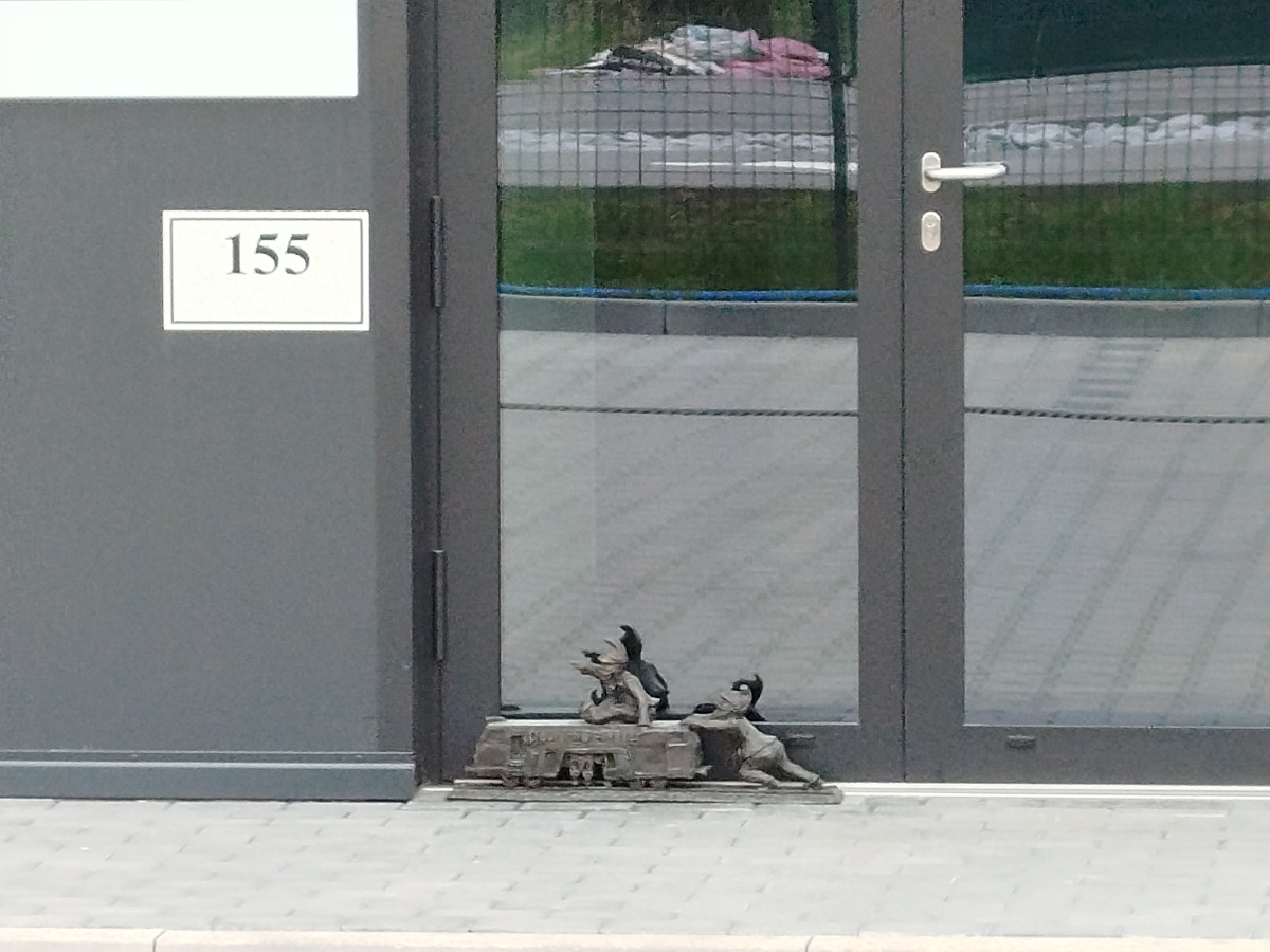 Zdjęcie krasnala Plasser I w zbliżeniu