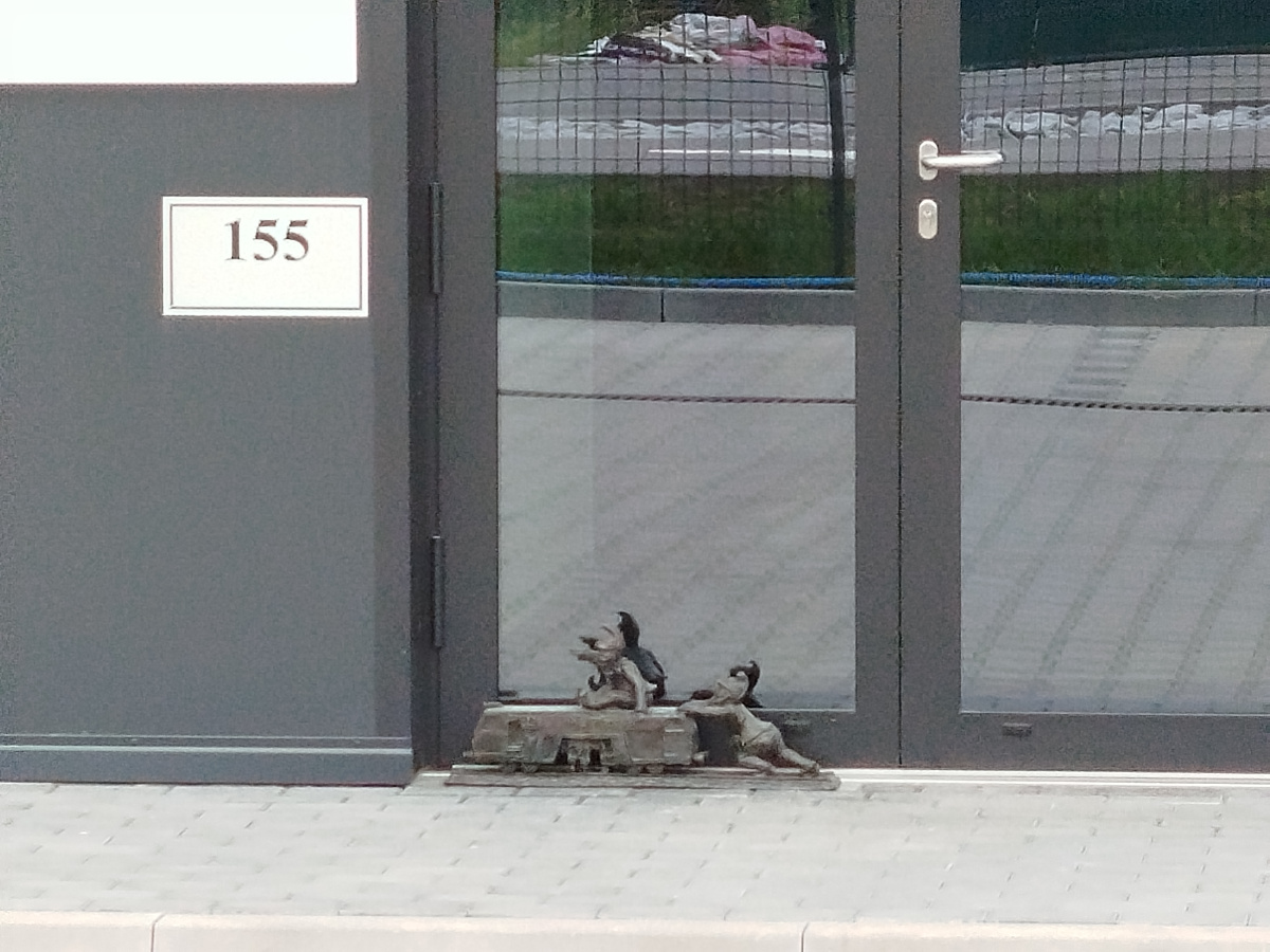 Zdjęcie krasnala Plasser II w zbliżeniu