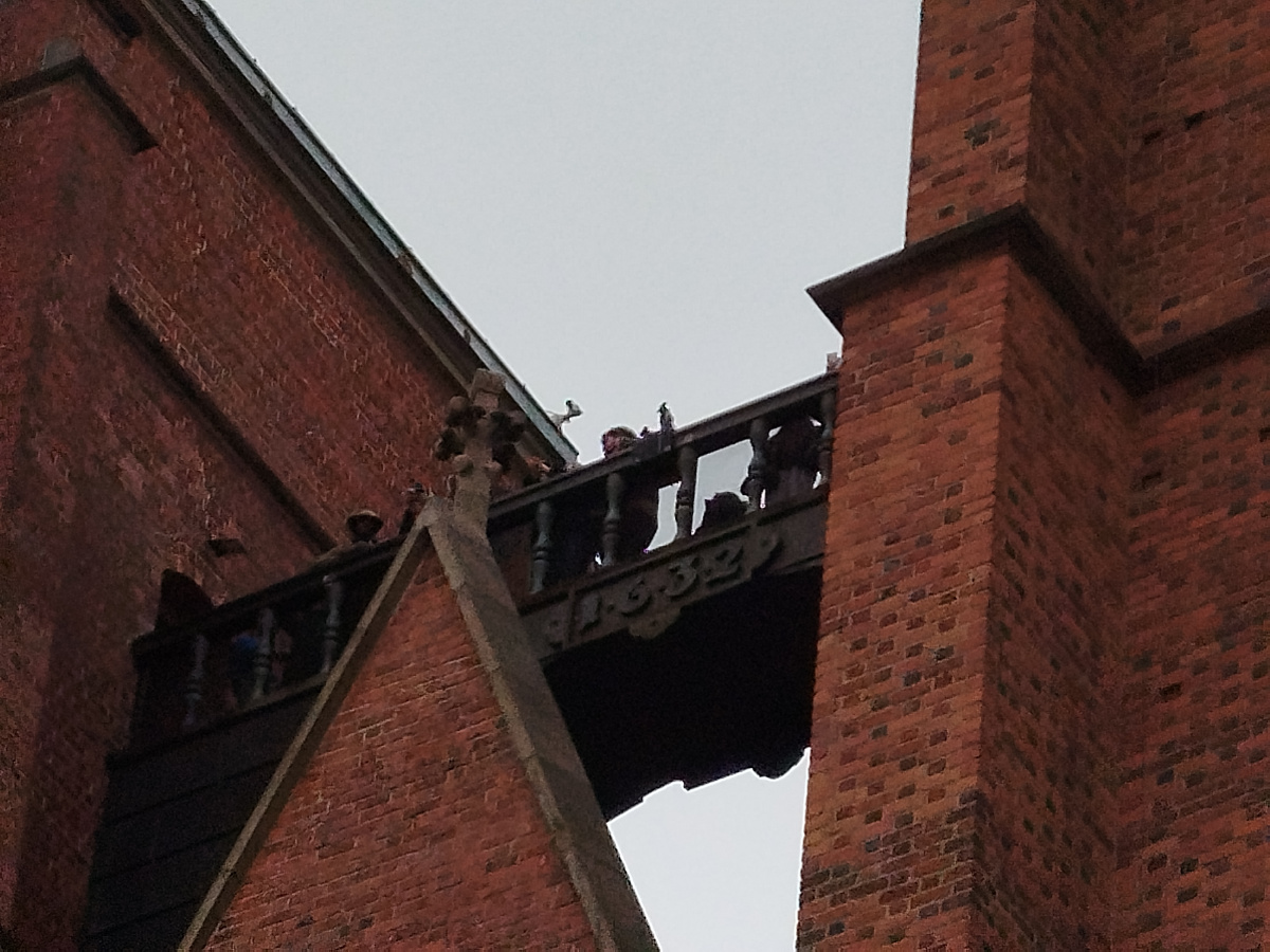 Foto enano Tekla en primer plano