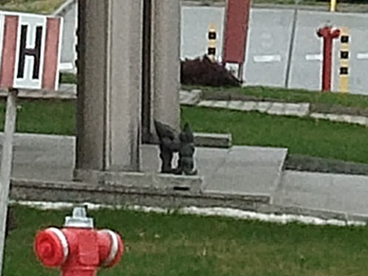 Zdjęcie krasnala Montażysta I w zbliżeniu