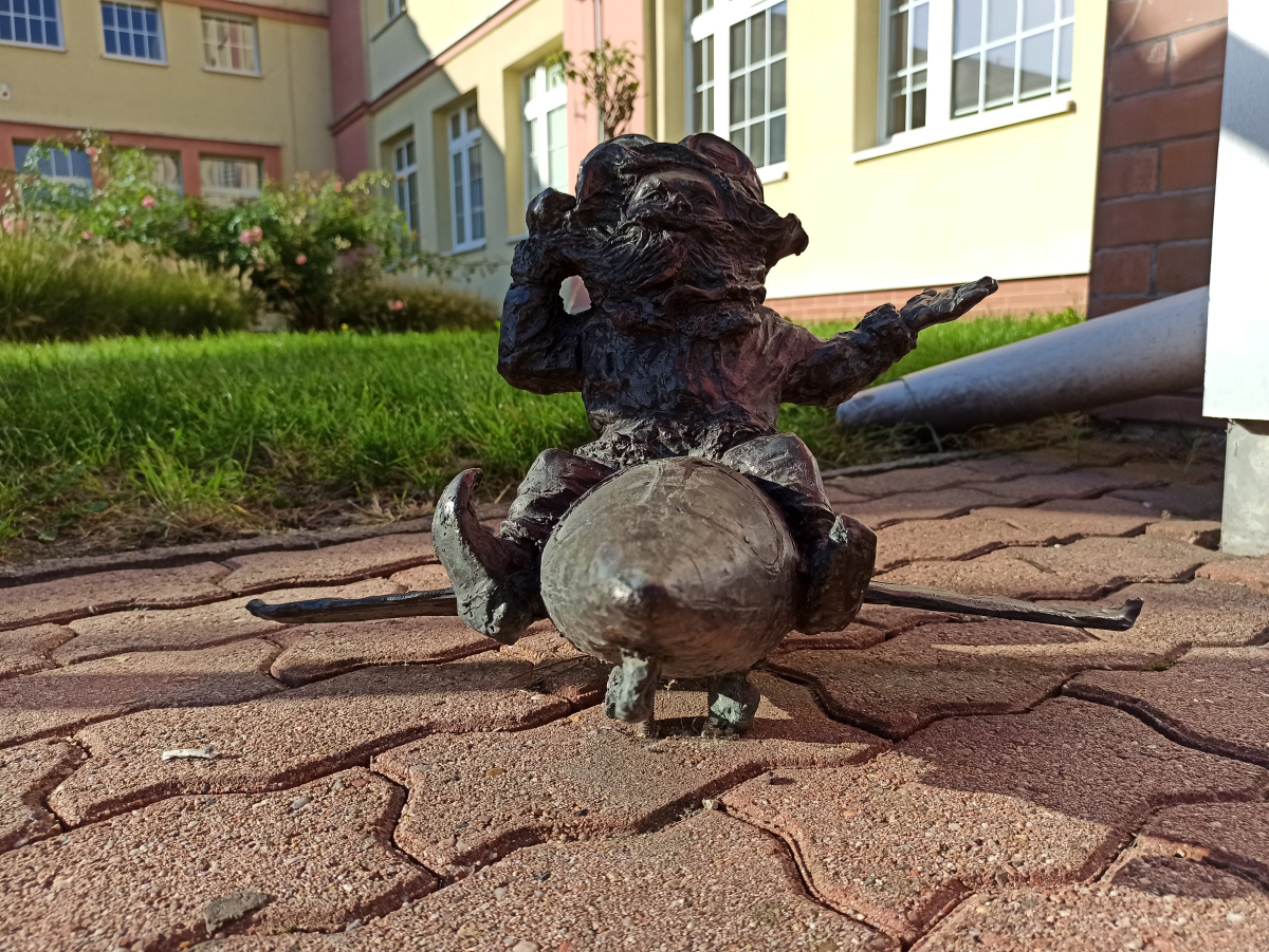 Foto zwerg Lotniczek (Jacek)