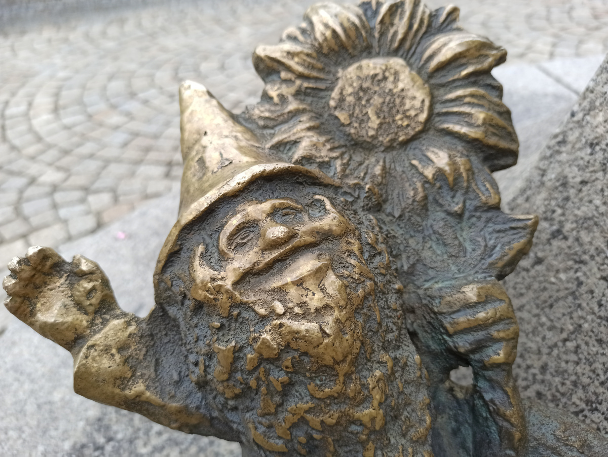 Foto zwerg Życzliwek in Nahaufnahme