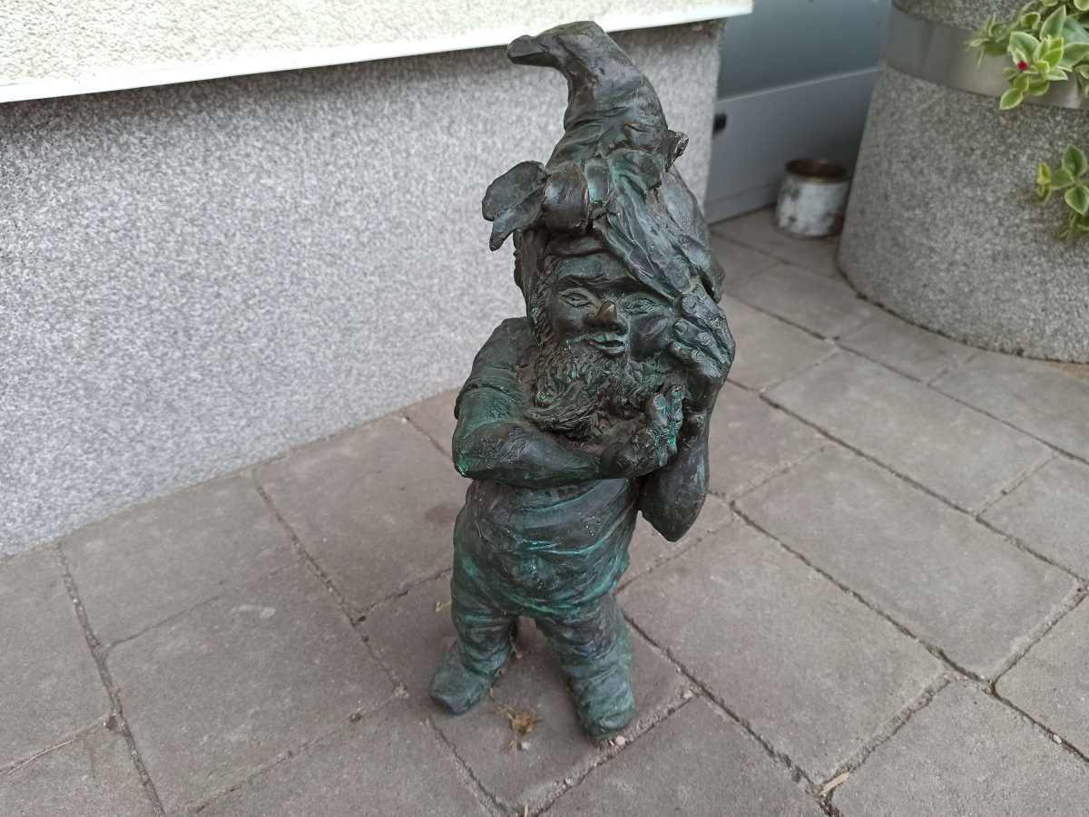 Foto zwerg Boliząbek