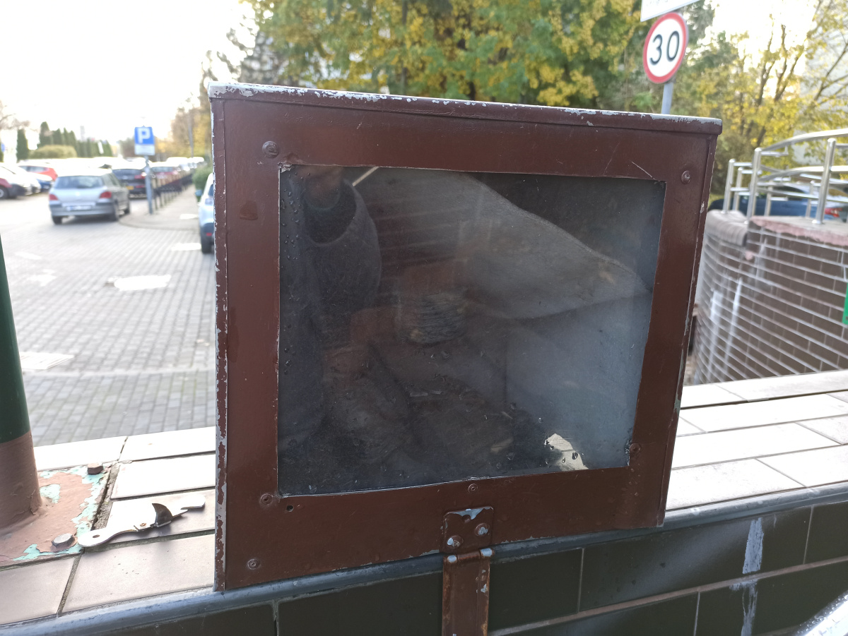 Foto zwerg Kruszek z wróbelkiem Łakomczuszkiem (Kruszek i Łakomczuszek)