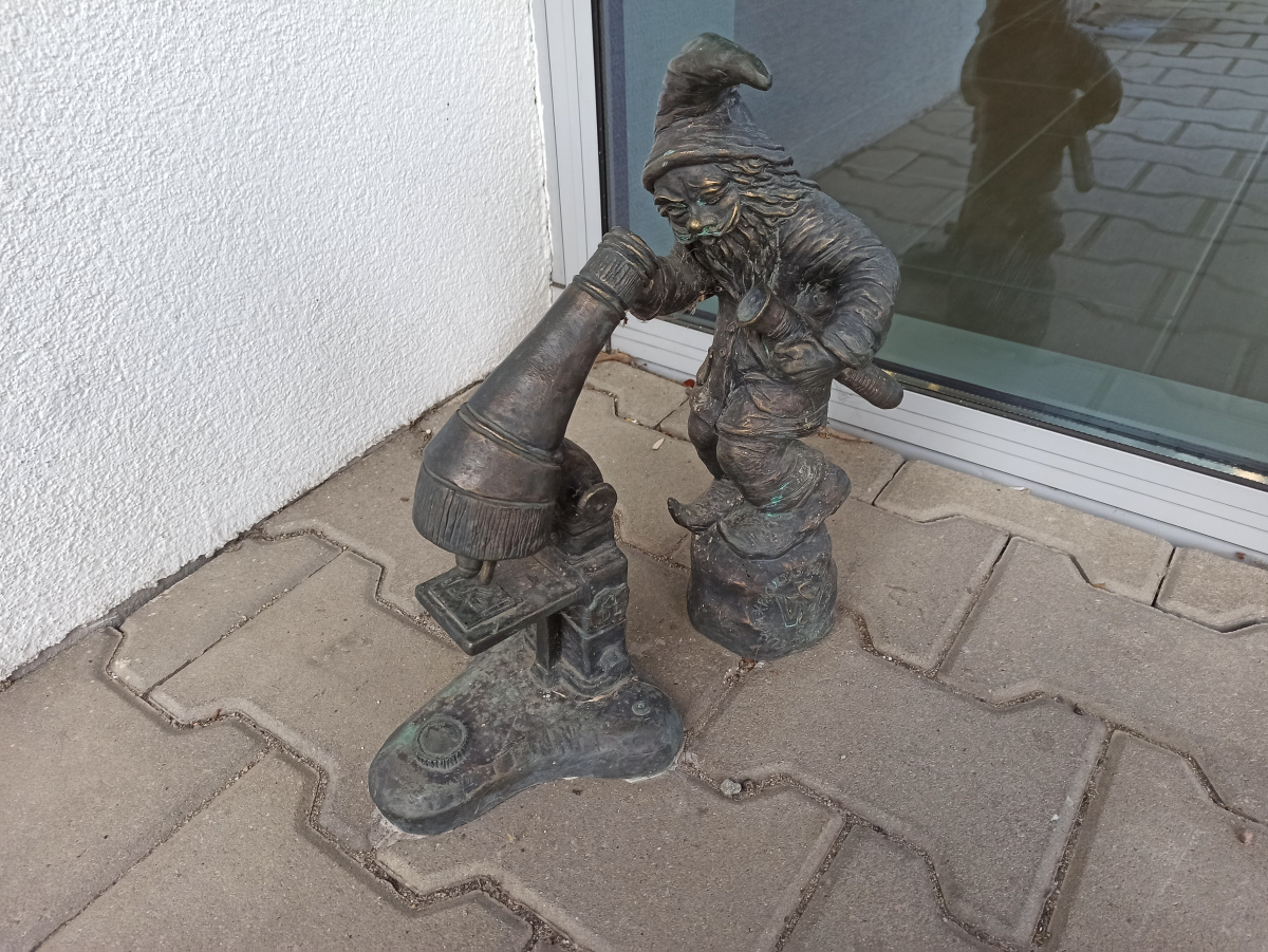 Foto zwerg Diagnozjusz