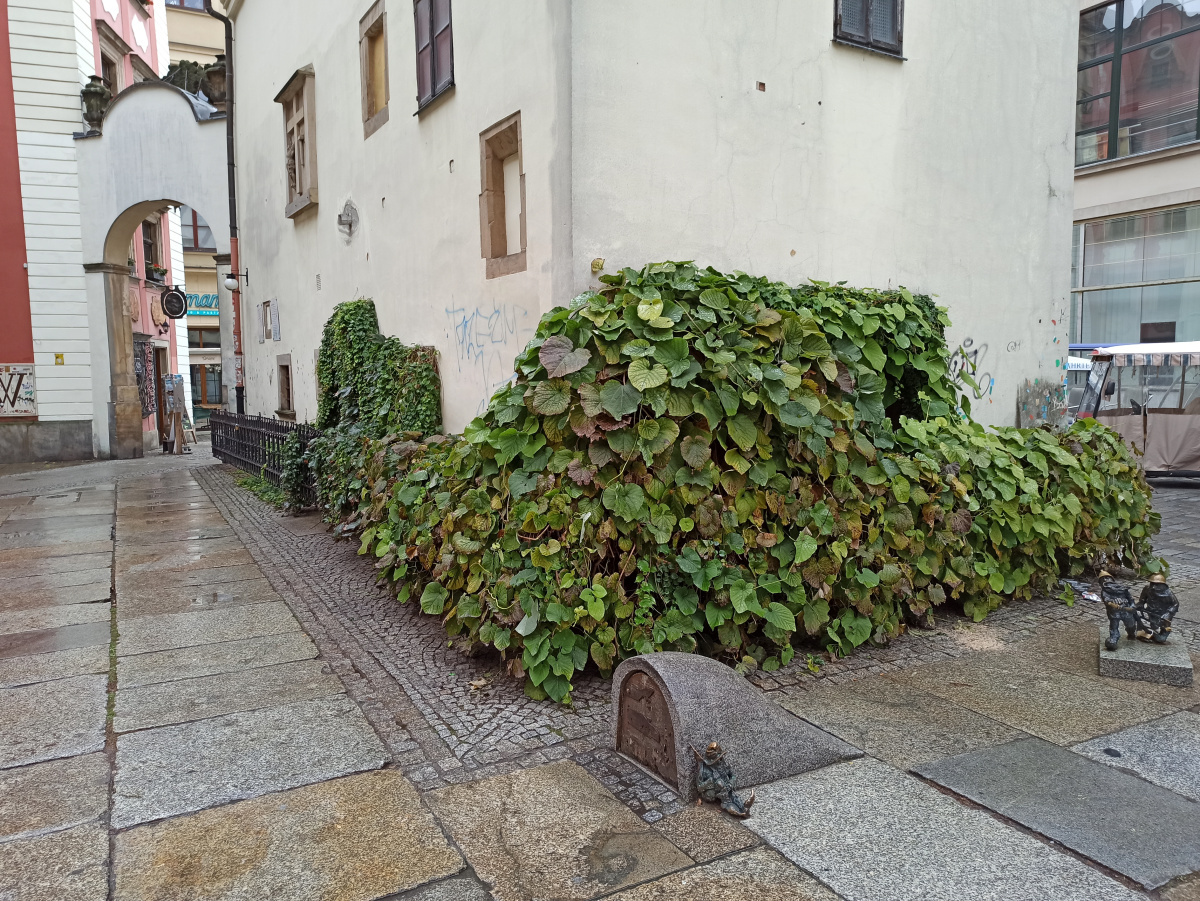 Foto vom Standort des Zwerges zwerg Śpioch (Strażnik)