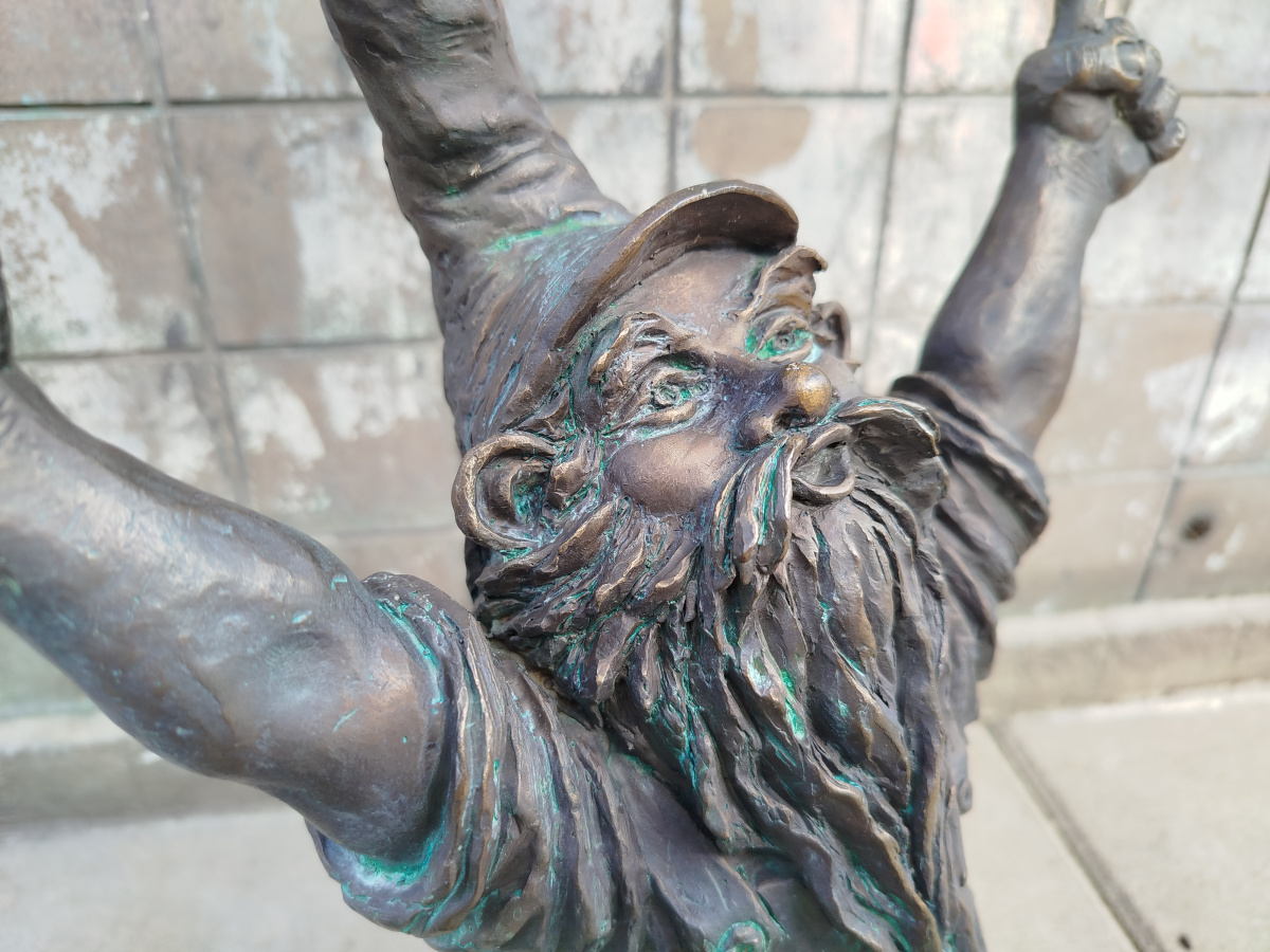 Photo of dwarf Zajezdniak close-up