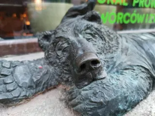 Фота гнома Miś Mokrej Łapki
