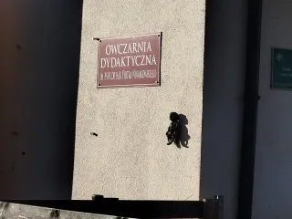 Фота гнома Owczarz