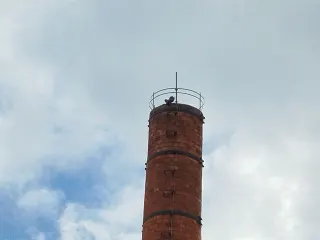 Фота гнома Krasnale na Kominie